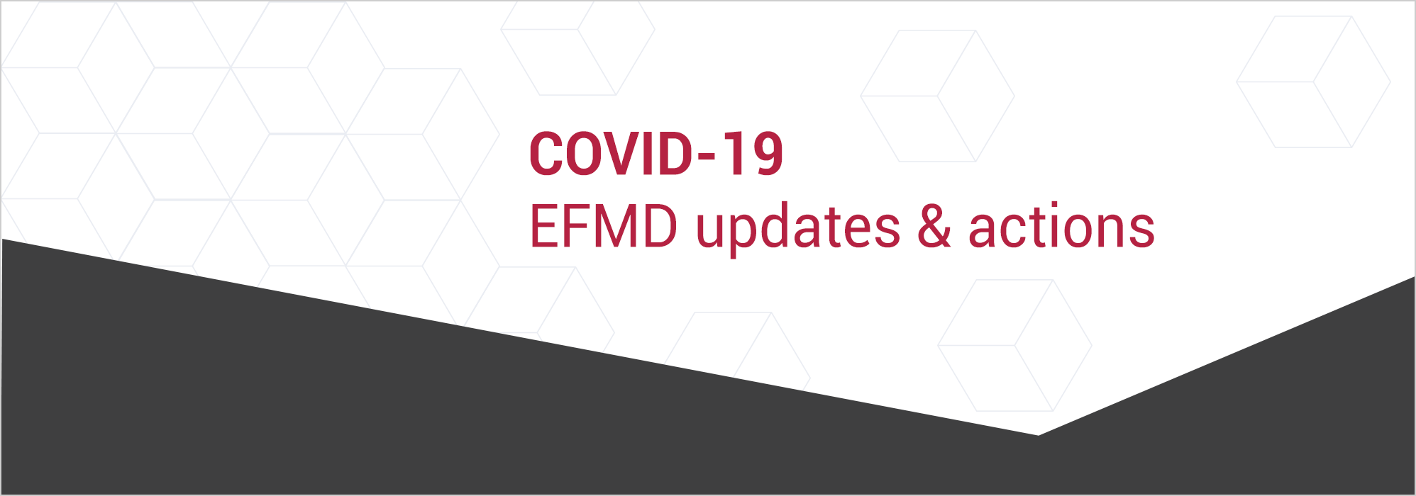 EFMD Updates & Actions