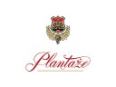 Joint work on a Strategy of digital transformation for the largest company in Montenegro “Plantaze”