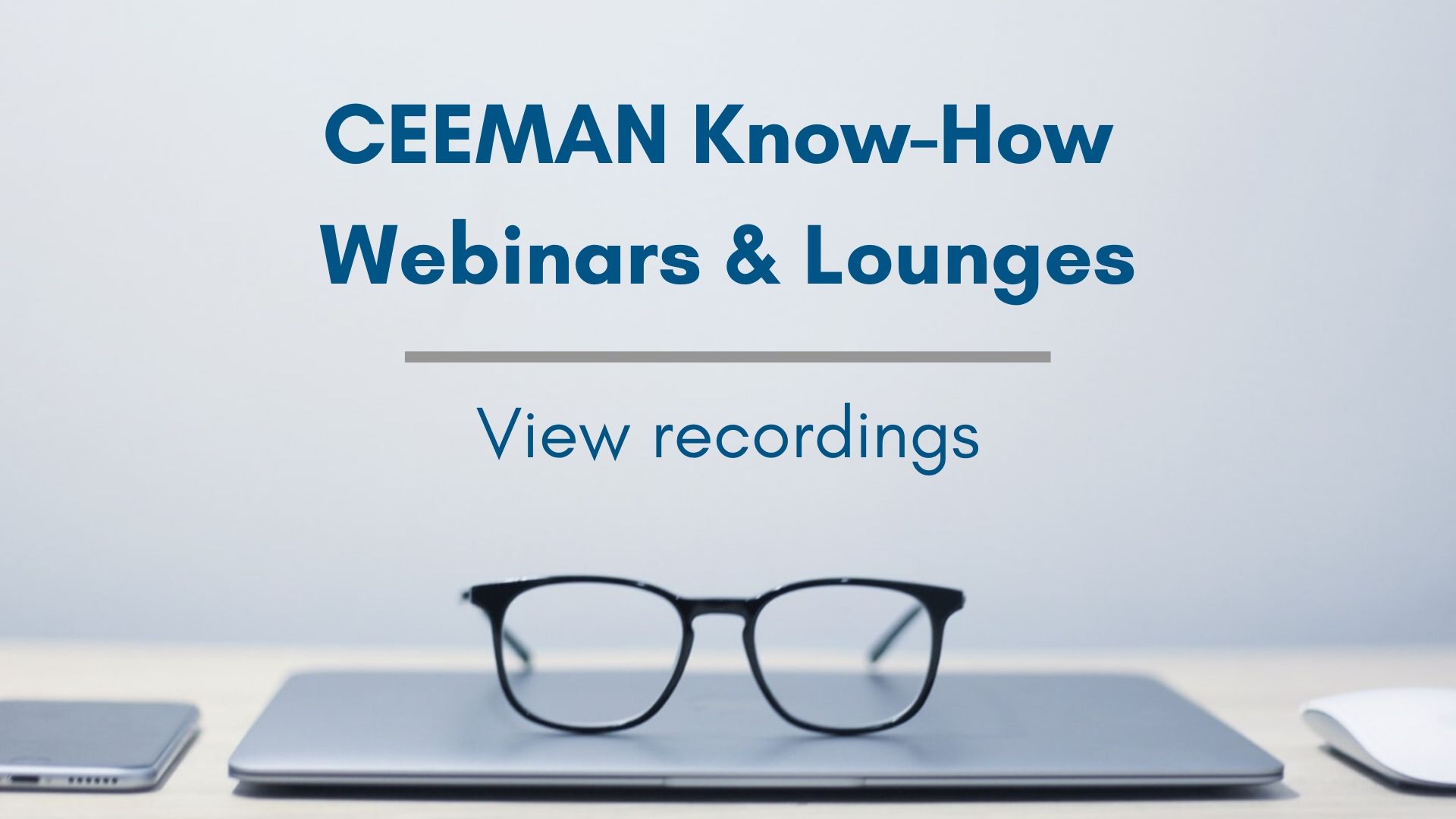 View recordings of the latest CEEMAN online events